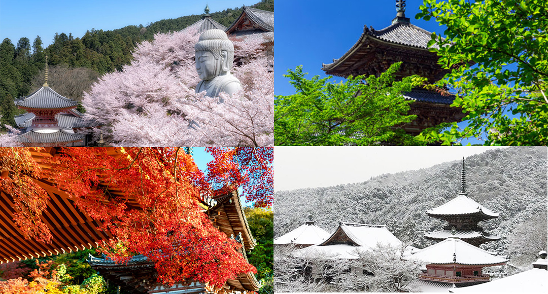 壷阪寺の四季折々の写真