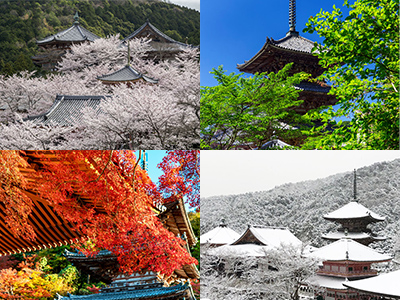壷阪寺の四季の景色　イメージ