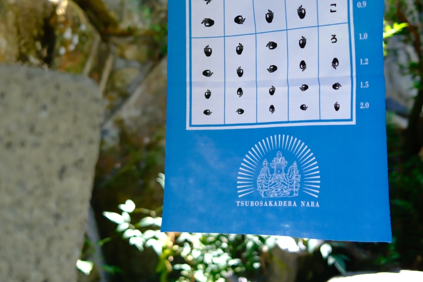 眼の手ぬぐい