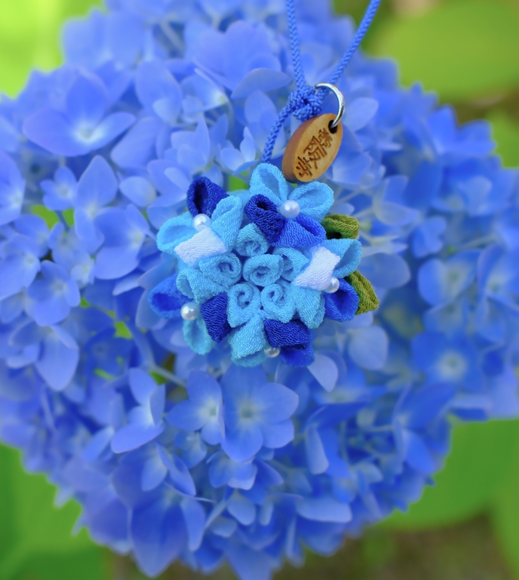 あじさい花守
